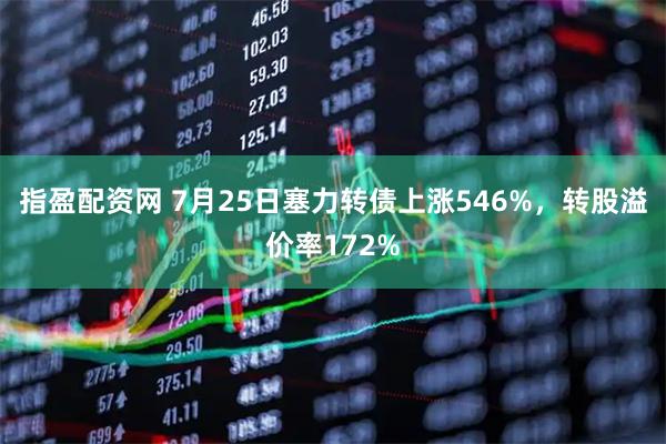 指盈配资网 7月25日塞力转债上涨546%,转股溢价率172%