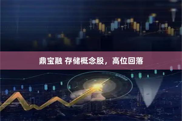 鼎宝融 存储概念股，高位回落