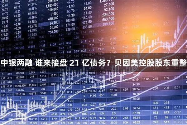 中银两融 谁来接盘 21 亿债务？贝因美控股股东重整