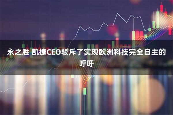 永之胜 凯捷CEO驳斥了实现欧洲科技完全自主的呼吁